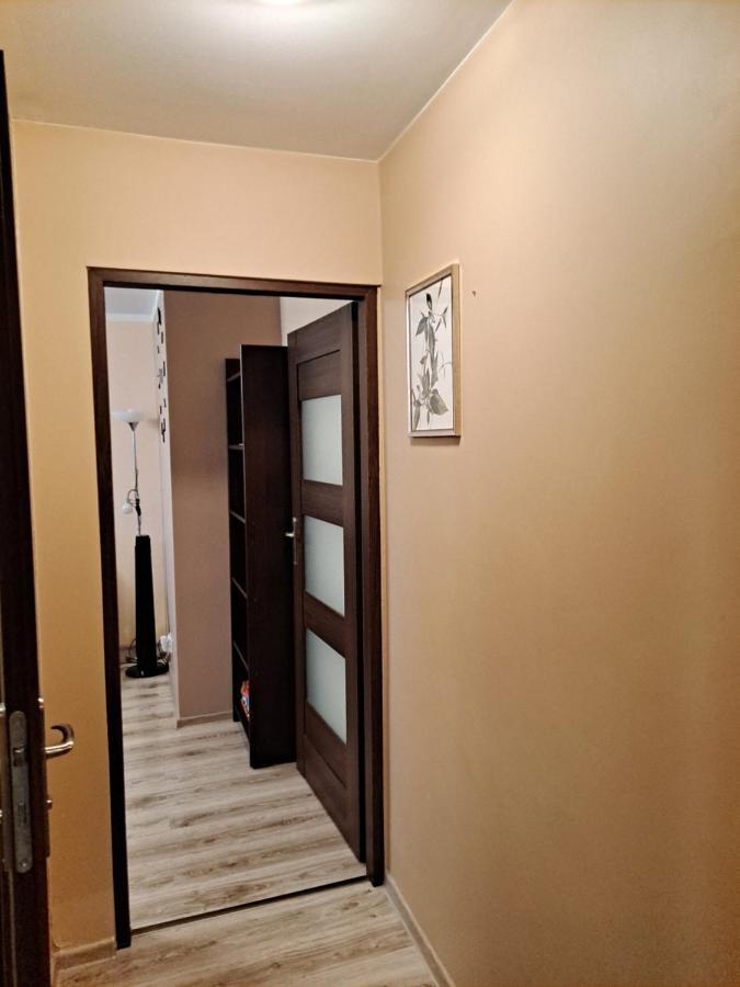 Monica Jelenia Góra Exterior foto